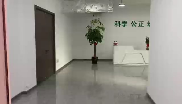 视频封面1