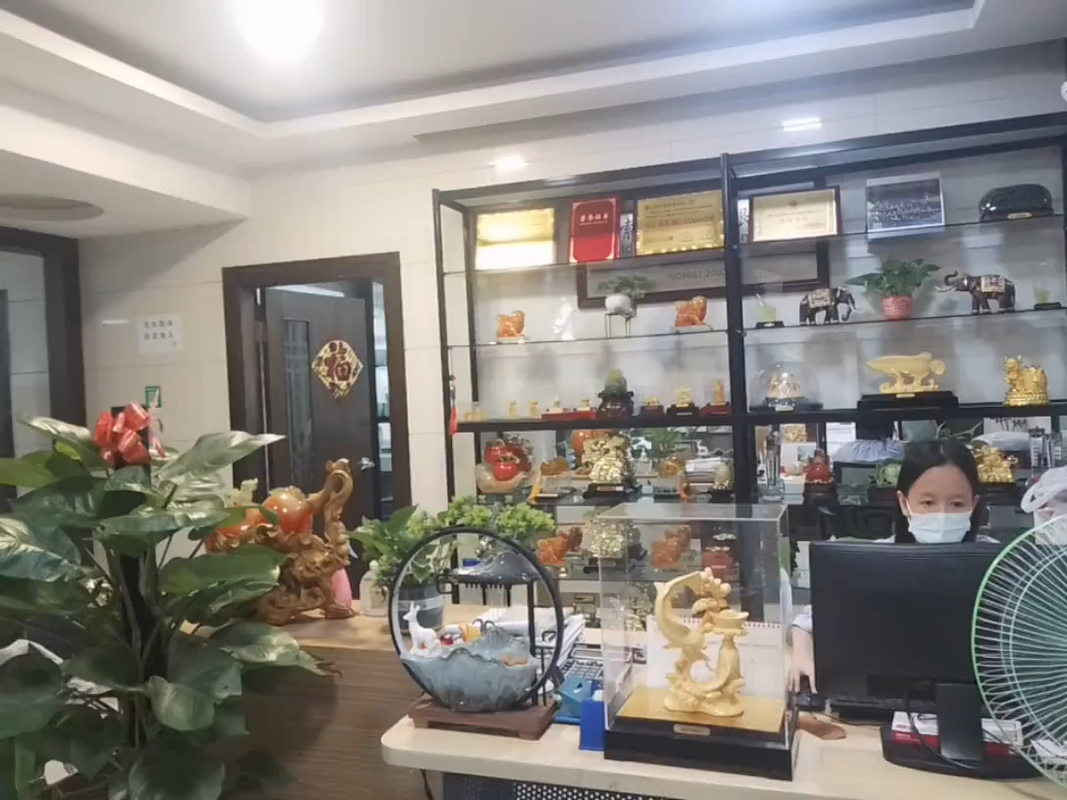 视频封面1