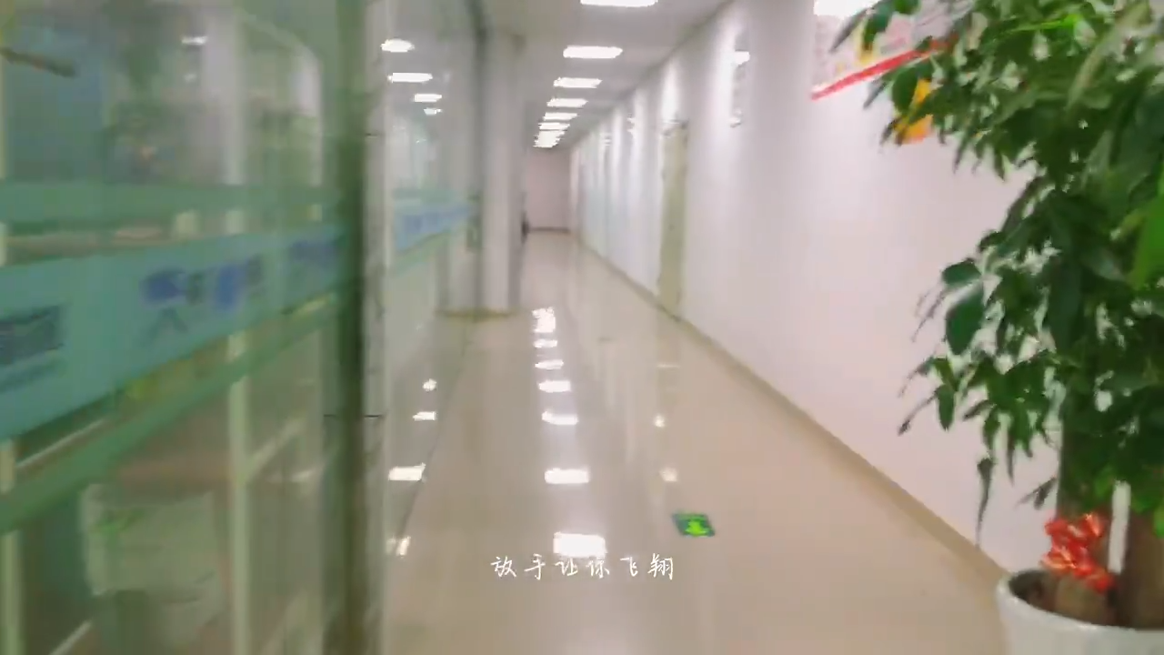 视频封面1