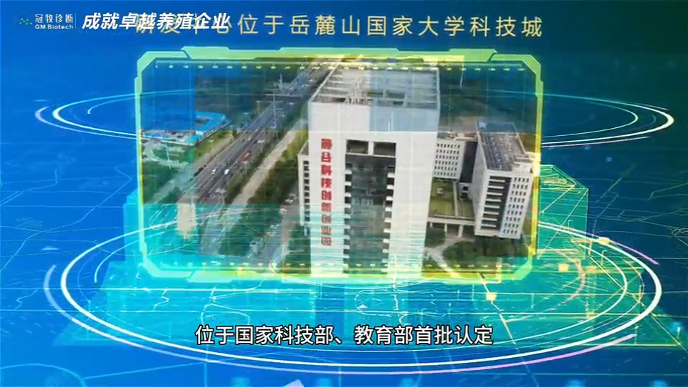 视频封面1