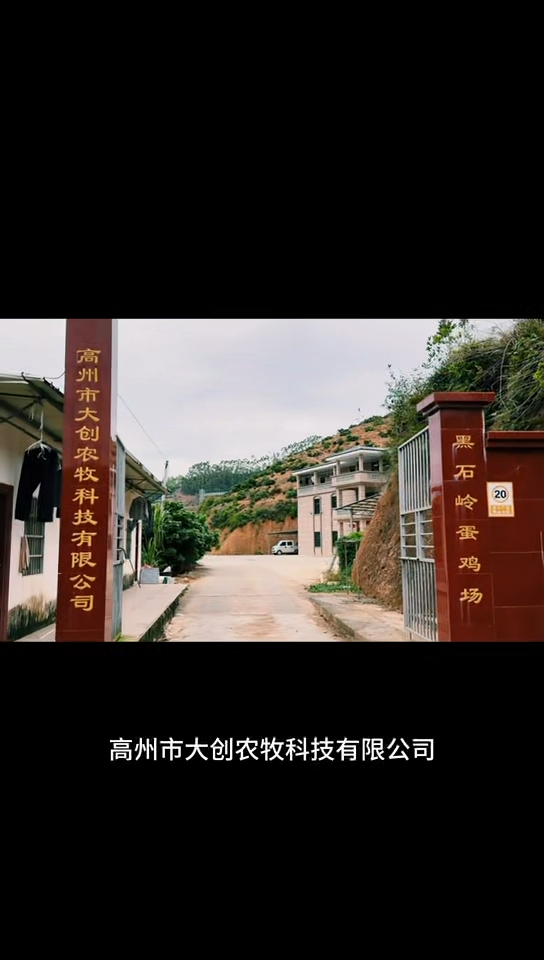 视频封面1