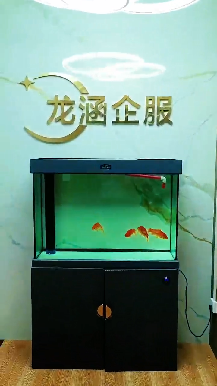 视频封面1