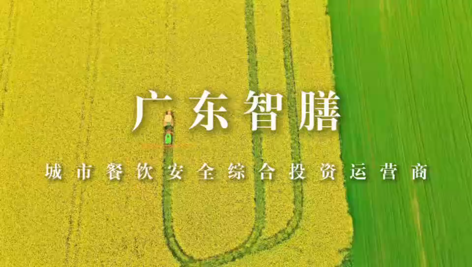视频封面1