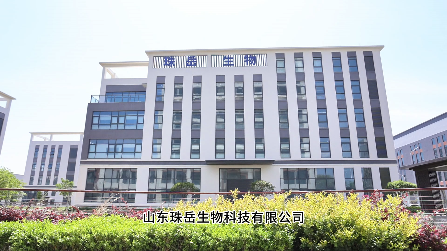 视频封面1