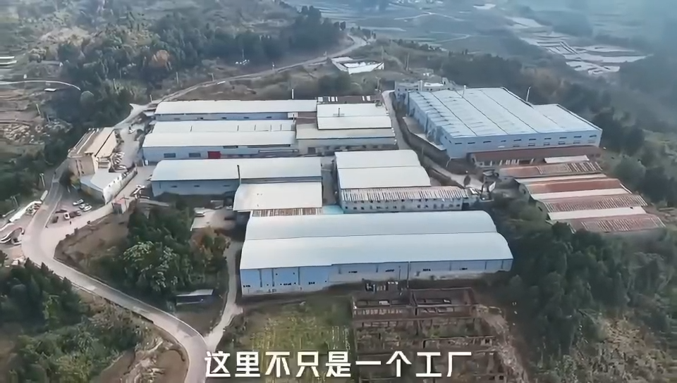 视频封面1