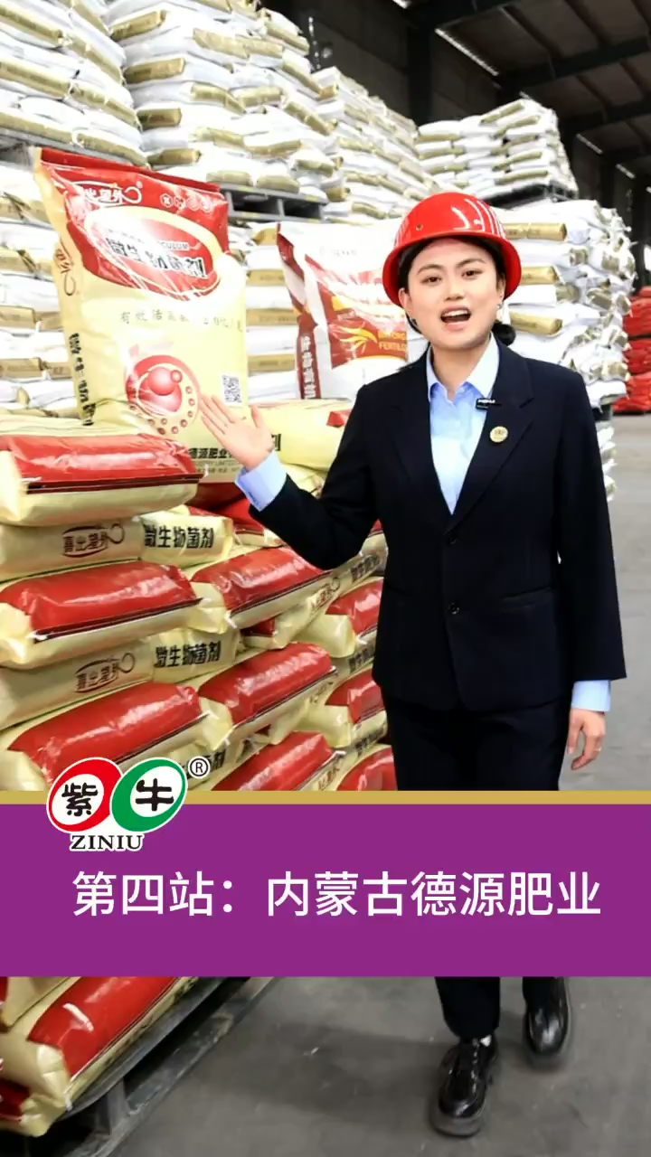 视频封面3