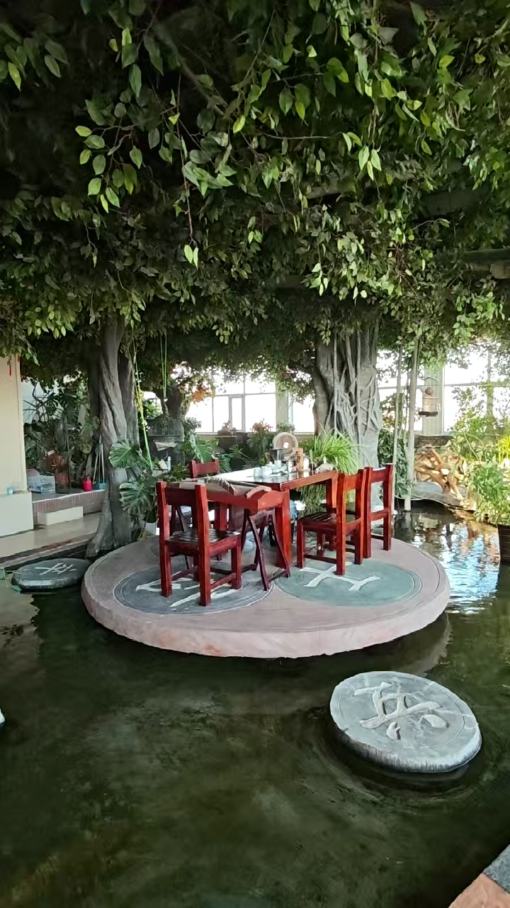 视频封面1