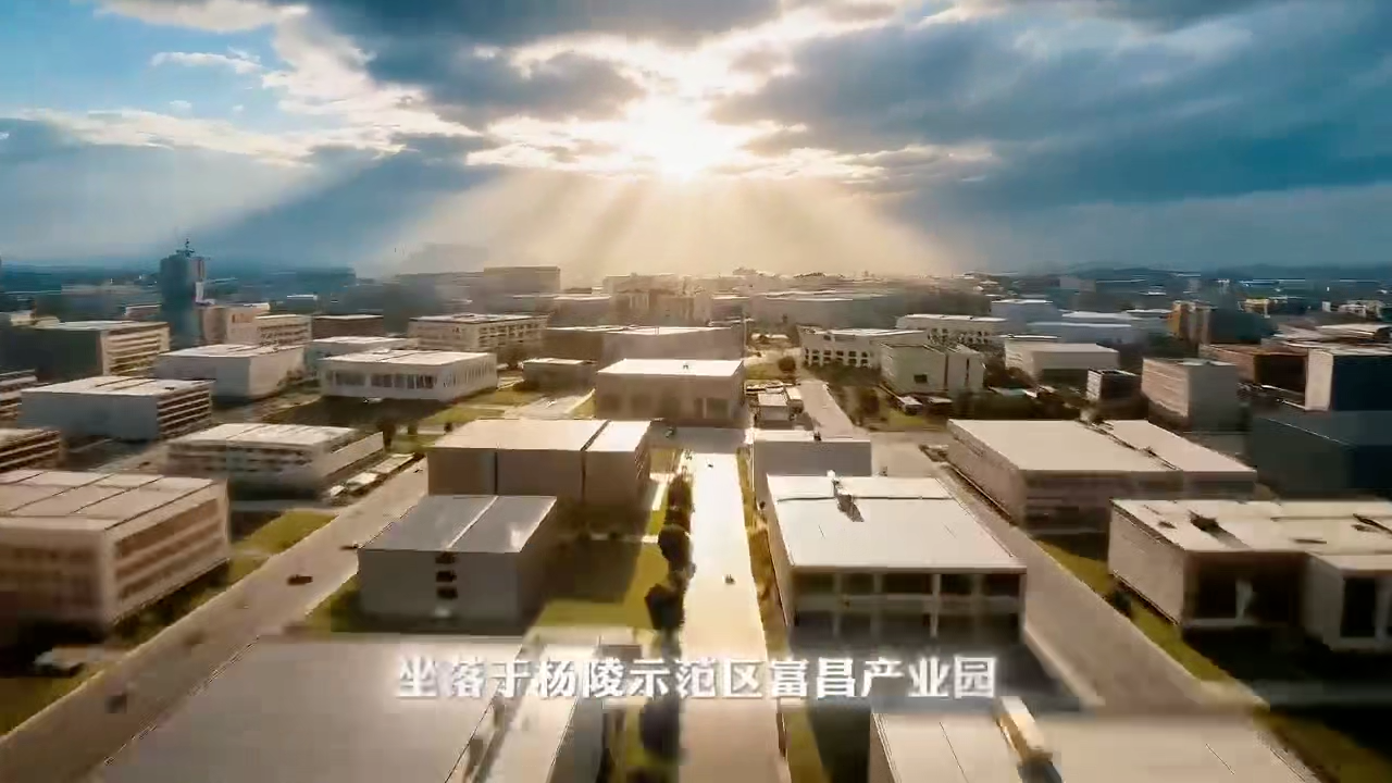 视频封面2