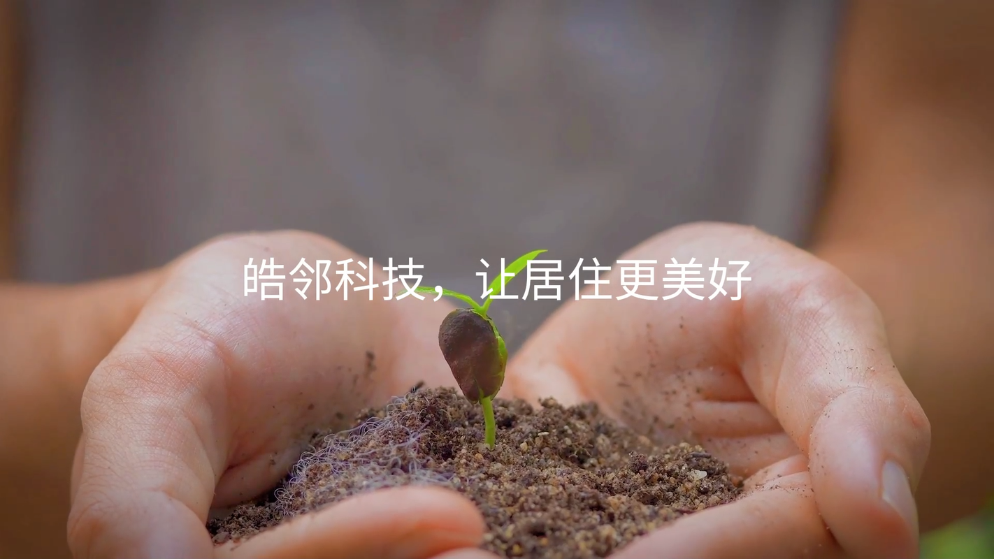 视频封面1