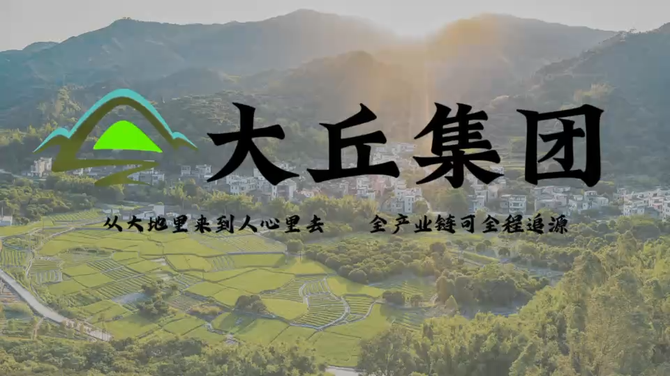 视频封面1