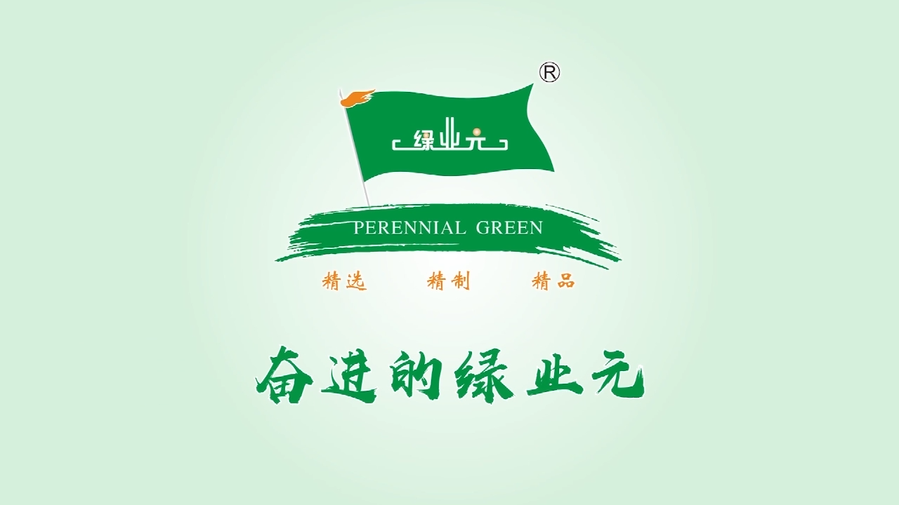 视频封面1