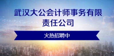 武漢大公會計師事務(wù)有限責任公司