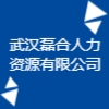 武漢磊合人力資源有限公司