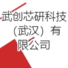 武創(chuàng)芯研科技(武漢)有限公司