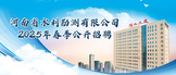 https://hnslkc2025.zhaopin.com