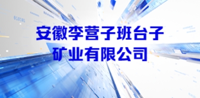 安徽李營子班臺子礦業有限公司