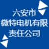 六安市微特電機有限責任公司