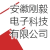 安徽剛毅電子科技有限公司