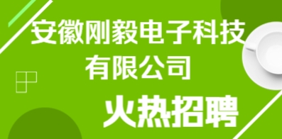 安徽剛毅電子科技有限公司