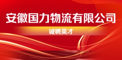 安徽國力物流有限公司