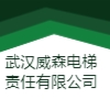 武漢威森電梯有限責(zé)任公司