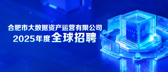 https://bigdatahefei.zhaopin.com