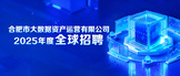 https://bigdatahefei.zhaopin.com