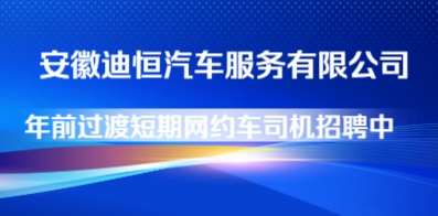 安徽迪恒汽车服务有限公司