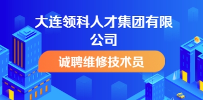 大连领科人才集团有限公司