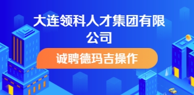 大连领科人才集团有限公司