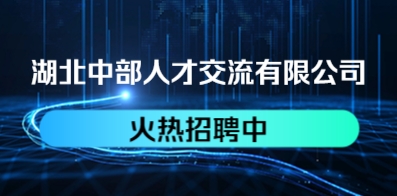 湖北中部人才交流有限公司