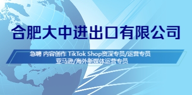 合肥大中进出口有限公司