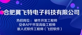 https://www.zhaopin.com/companydetail/CZ317414280.htm