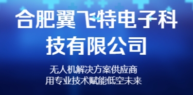 合肥翼飞特电子科技有限公司
