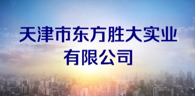天津市东方胜大实业有限公司