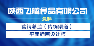 陜西飛騰食品有限公司