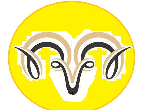 武汉市晨羊航空科技发展有限公司