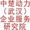 中楚動(dòng)力(武漢)企業(yè)服務(wù)研究院