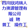 四川欣鴻瑞人力資源管理有限公司