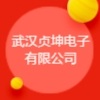 武漢貞坤電子有限公司