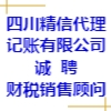 四川精信代理記賬有限公司