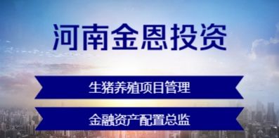 河南金恩投資有限公司