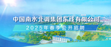 http://nsbddx.zhaopin.com/