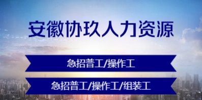 安徽協(xié)玖人力資源有限公司