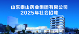 https://sdtsyy.zhaopin.com/