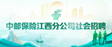 http://zybxzp.zhaopin.com/