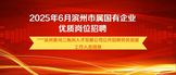 https://webapp.zhaopin.com/2025/hd/bzscj0604180058418ZL85636/
