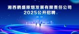 https://webapp.zhaopin.com/2025/hd/xxhsy0528ZL82493/