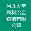 河北天宇高科冶金鑄造有限公司
