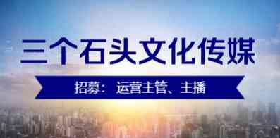三個石頭(沈陽)文化傳媒有限公司